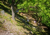 Turisti